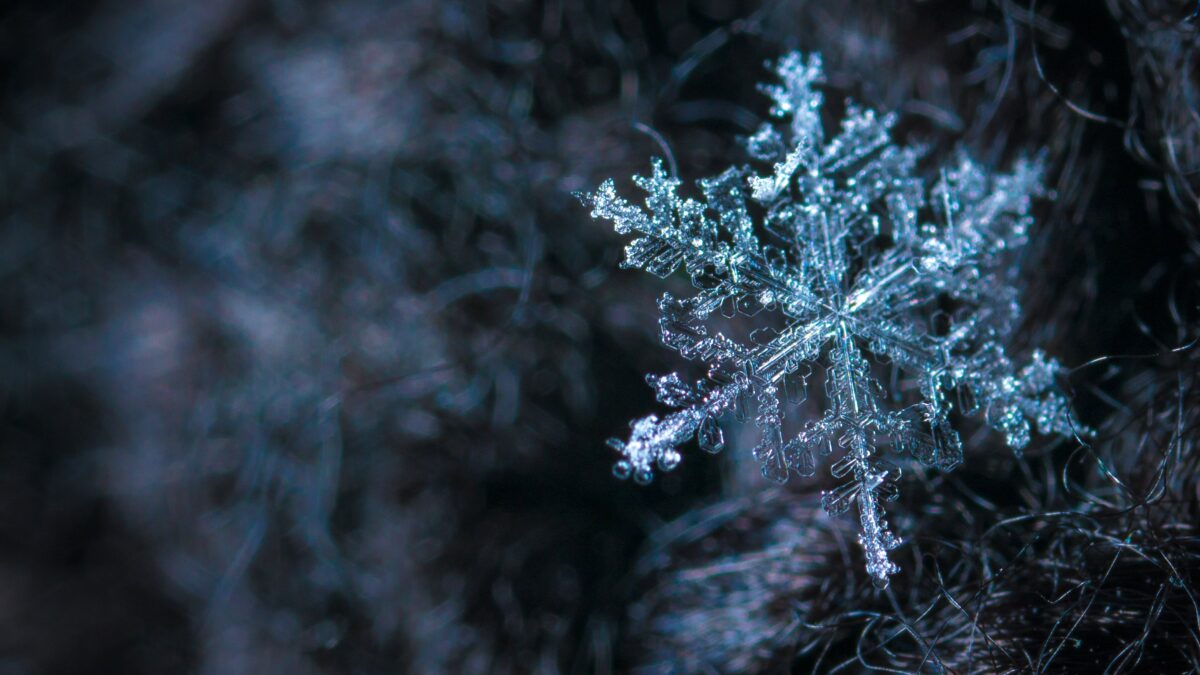 Citate de iarnă: 270+ citate despre sărbătorile de iarnă, iubire și zăpadă (+ în engleză)